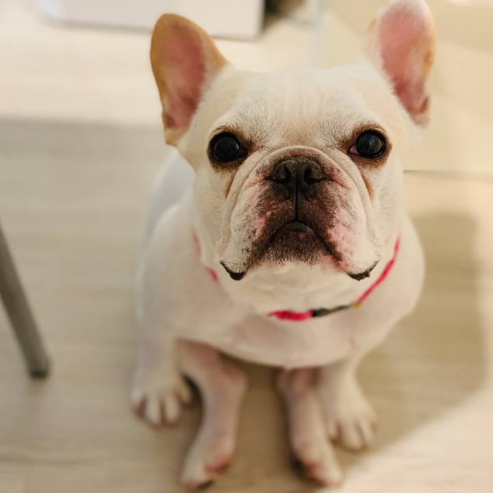 3f2f69a8 9ce6 44f2 b01b b2e329c6a5dc 1563175473014