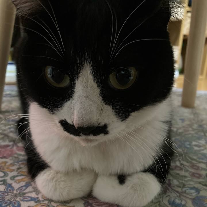 3f2f9da8 3cde 4722 a9ba ad15193e3b11 1744032327591