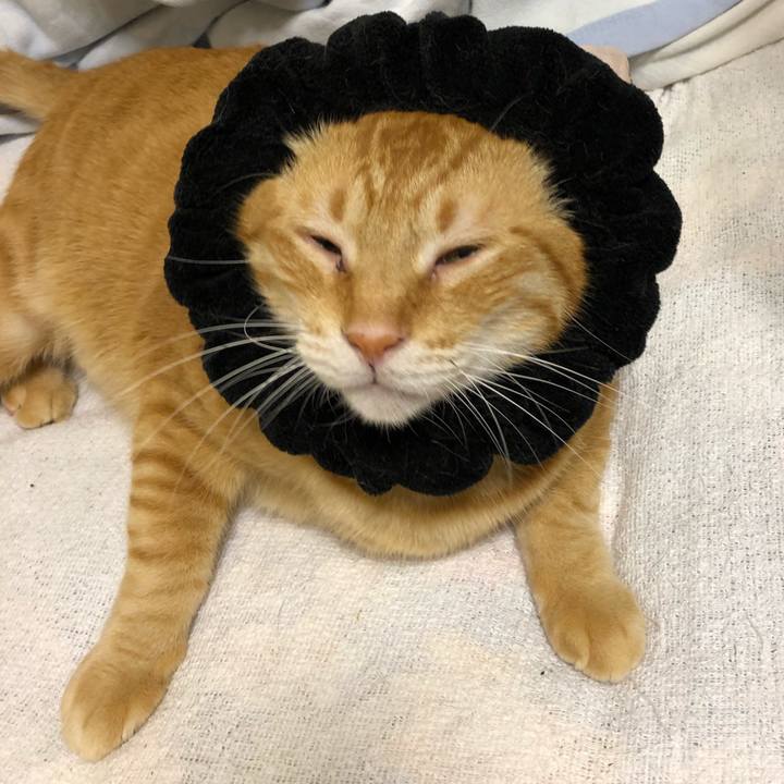 3f2fc144 8cad 4b32 a038 02ad67df2d10 1570272115700