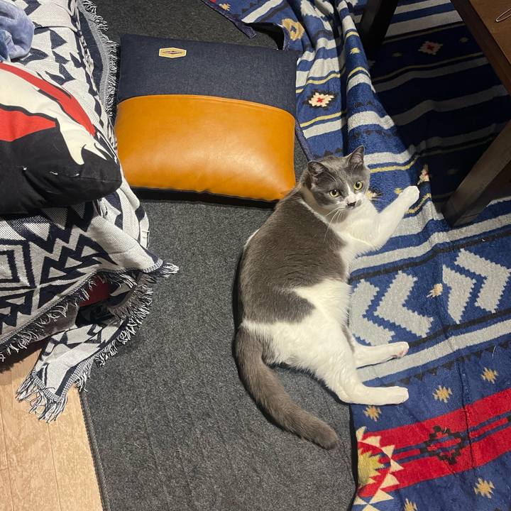 3f300f87 5243 44c2 80bf 7d77a9ce137c 1679569863954