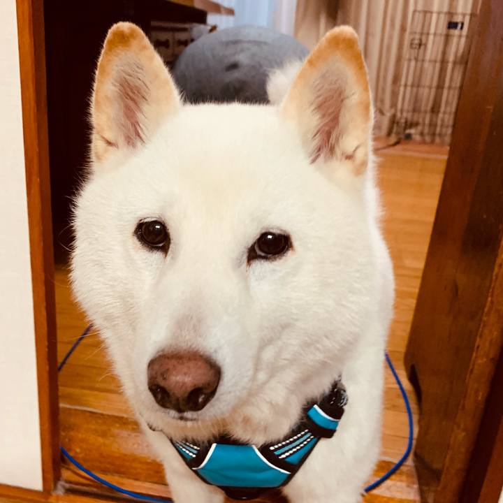 3f302fcf 3903 49b5 98d4 c045d4f3e42c 1680820074089