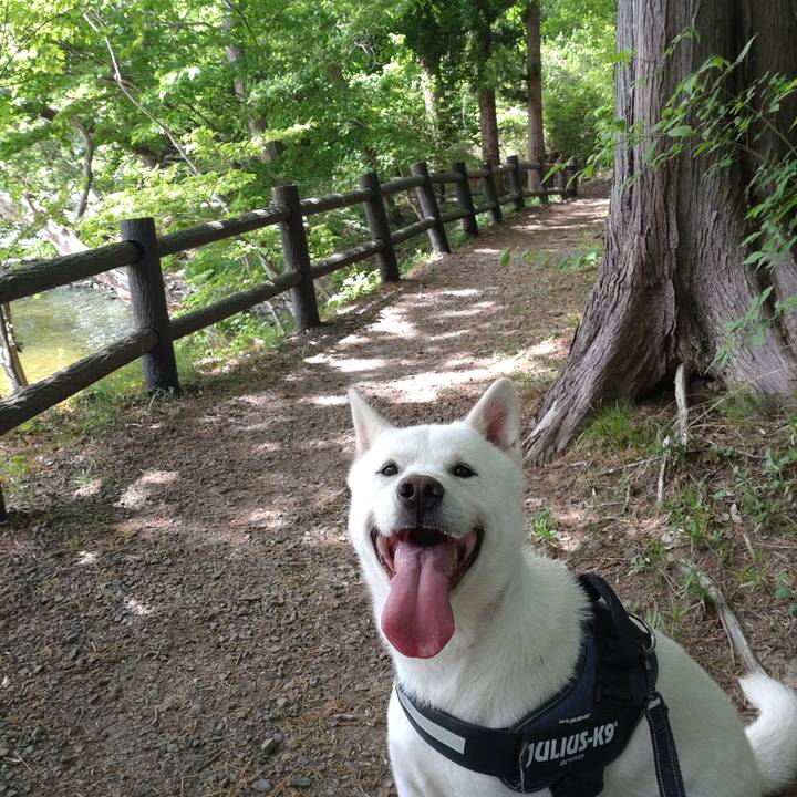 3f303ecd 5d2c 409e 92a0 5b2c9a21ad70 1652275310208