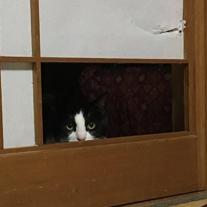 3f304a32 15f4 4a98 a8d7 df7285db7aab 1677502745103