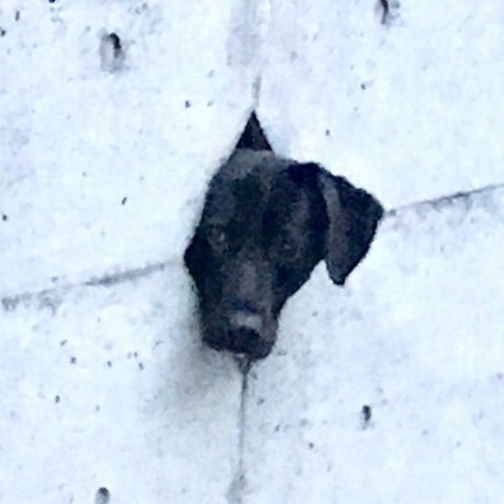 3f306258 d532 4a74 9cfd 1fa914a38776 1563185976082