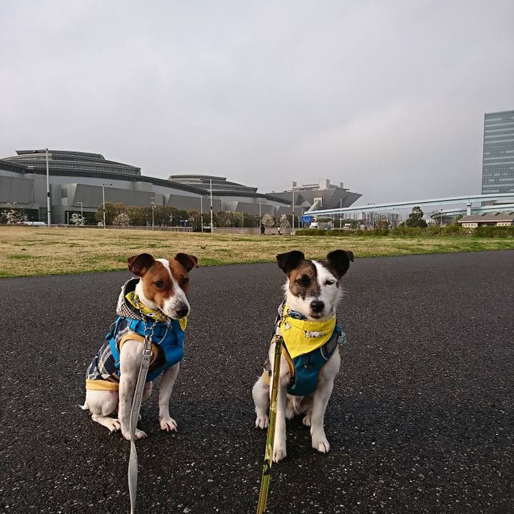 3f3064d3 700b 4a8c 8afb 89517ee8423e 1553984899790