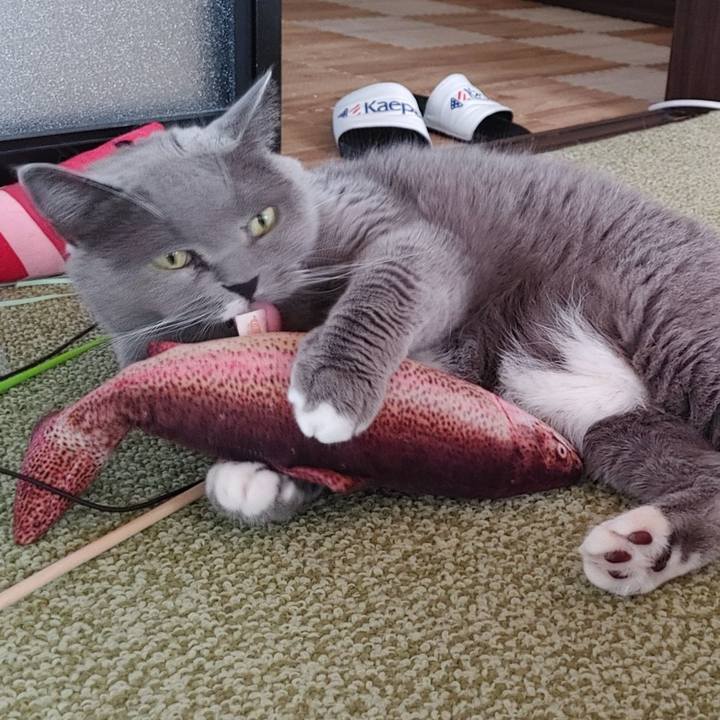 3f307337 1ca1 425d a587 5054ee504ea9 1692829590446