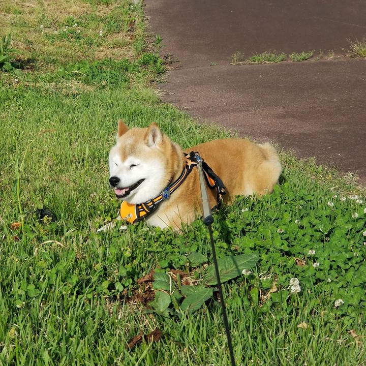 3f307503 129e 4562 9bc7 da2ac7b72028 1716362548382