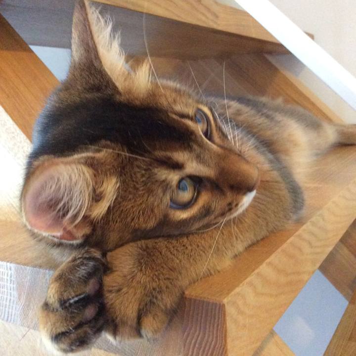 3f30a326 b433 4ea5 bfa8 423e73003cad 1565310919838