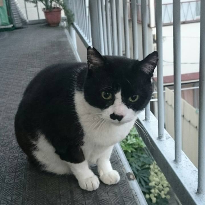 3f30c1c2 b977 4226 81c5 1c548aff8fc3 1514416261488