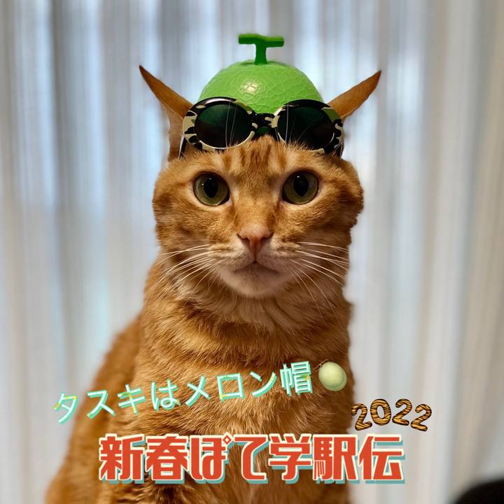 3f30f34d 61b3 4465 a307 47f9315834b9 1641086219641