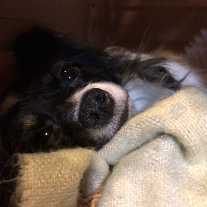 3f310dbe 1eea 4c4d 9bd6 98c40158d009 1523429493107