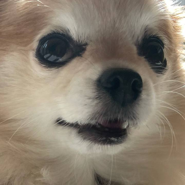 3f31302b ea38 4ae6 a338 44df076775f5 1759909772142