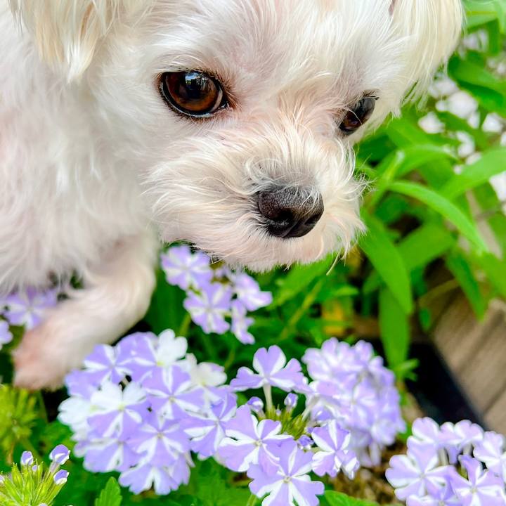 3f313964 31e3 41a1 badf 43bd3c1ee78d 1684397942904