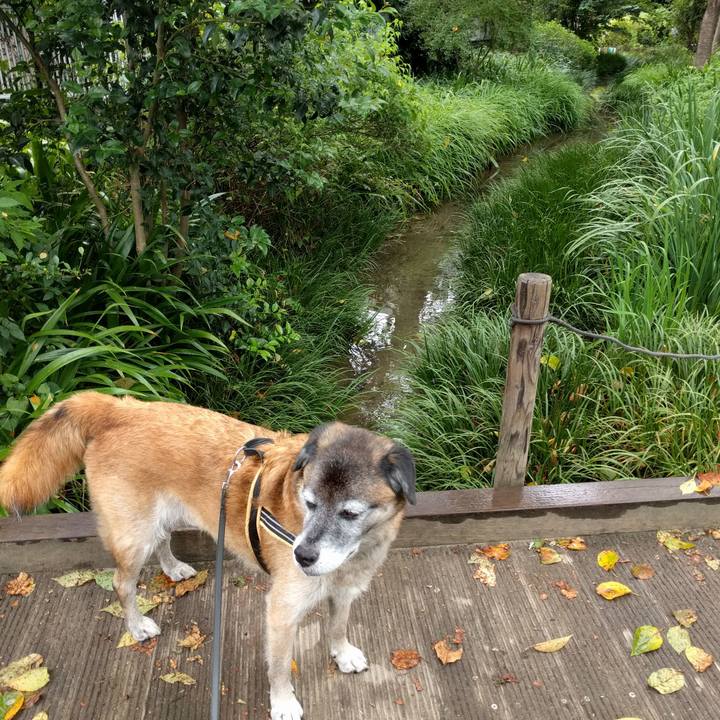 3f314154 6e38 4476 b036 a35136159734 1534722479773