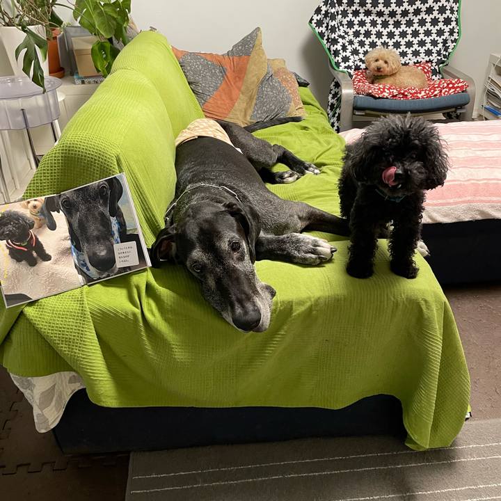 3f31572d d08e 4732 a01e ae4b16d2fb64 1625092541328