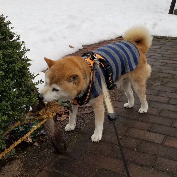 3f318ec3 2385 4058 9923 a50918487f86 1706756264294