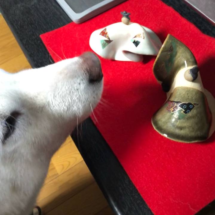 3f31e14d 2b2d 4df6 9e99 a7aeea7d27da 1644310165528