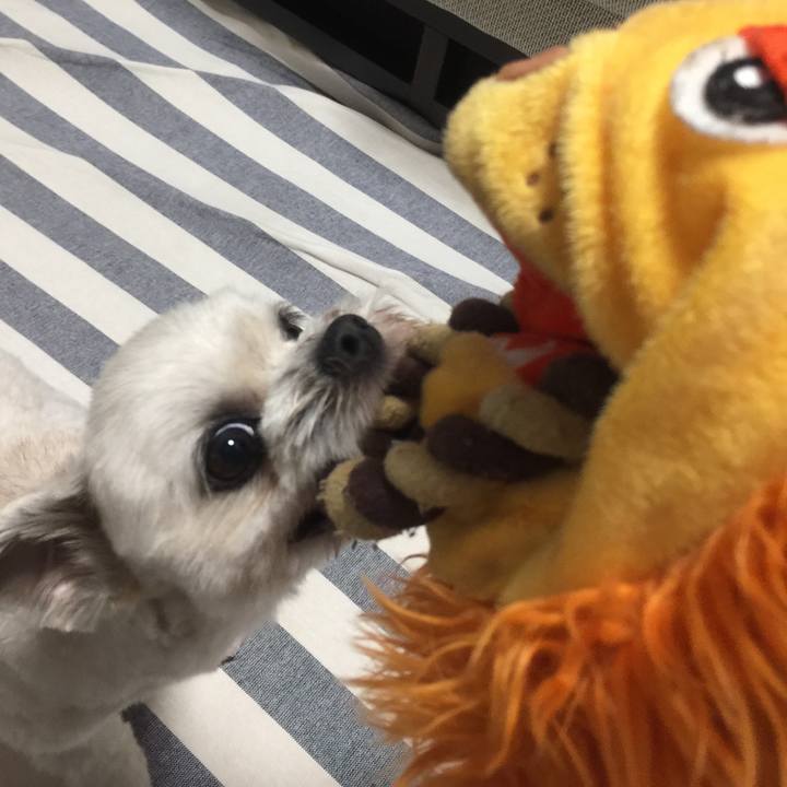 3f31ef56 f1e6 4478 966d c41e0e06cdbd 1530875576053