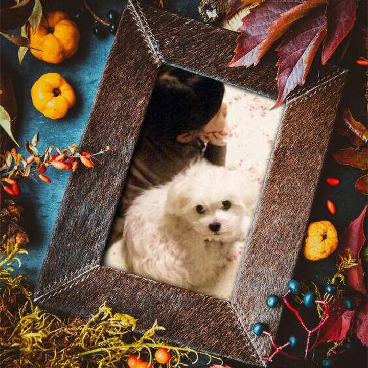 3f32077d f065 4e5c 9c90 50ffc5997256 1507994994561