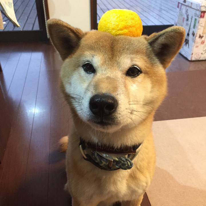 3f3214e5 54a7 416f a206 6deaebe595e2 1513928847343