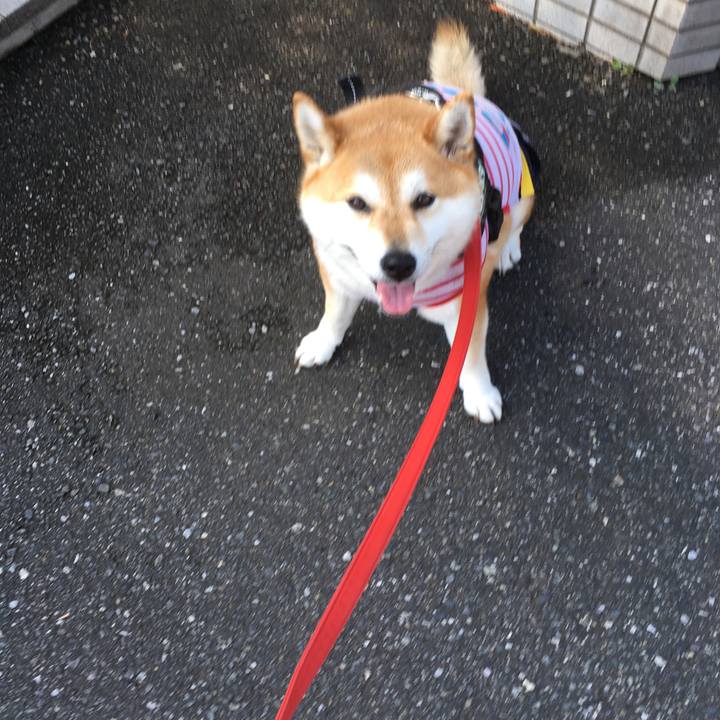 3f32323c 3012 4851 9ba8 a9deab64f93d 1591918774436