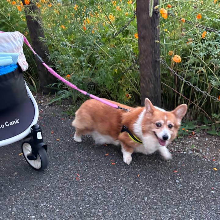 3f3235d0 5c11 4fd0 bc97 fac0b047322f 1758623250905