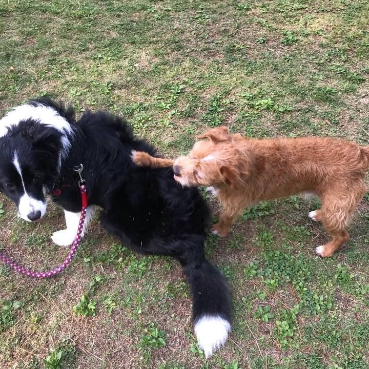 3f326166 d78d 4784 968c 9174e70c7541 1589461205396