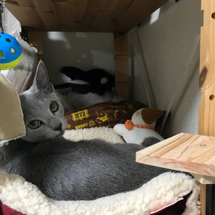 3f327bb7 d39e 478f bdd1 f471f28b6cbf 1511694643341