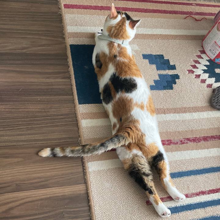 3f32a144 b99f 4b1a b3d9 0a930da3902f 1683095228382