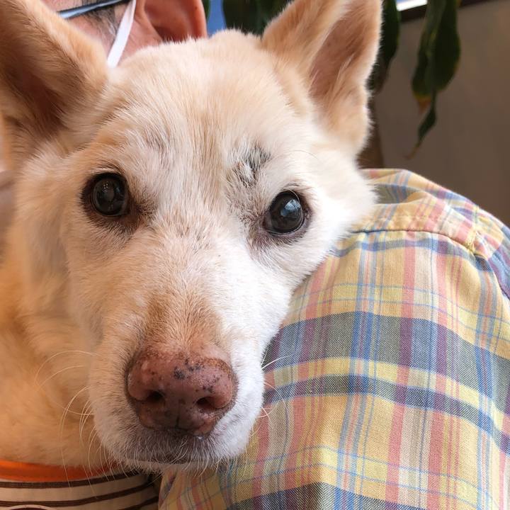 3f32ba66 1073 469b a3d0 427c3433c940 1660716020188