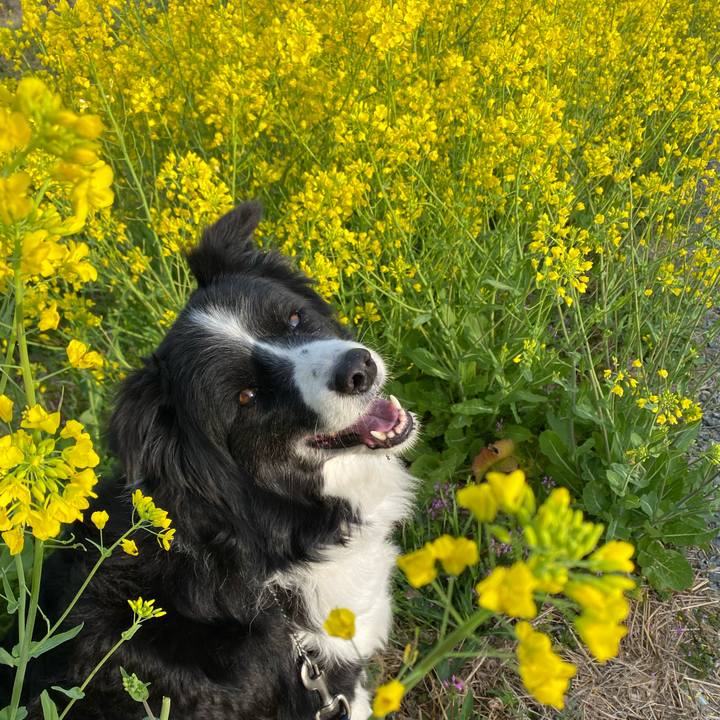 3f32bb6c 0884 45c0 b231 39db9bfa3fff 1647473303555