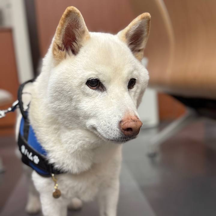 3f32d58a 246e 4a71 bb82 96ba02ddc188 1771052857898