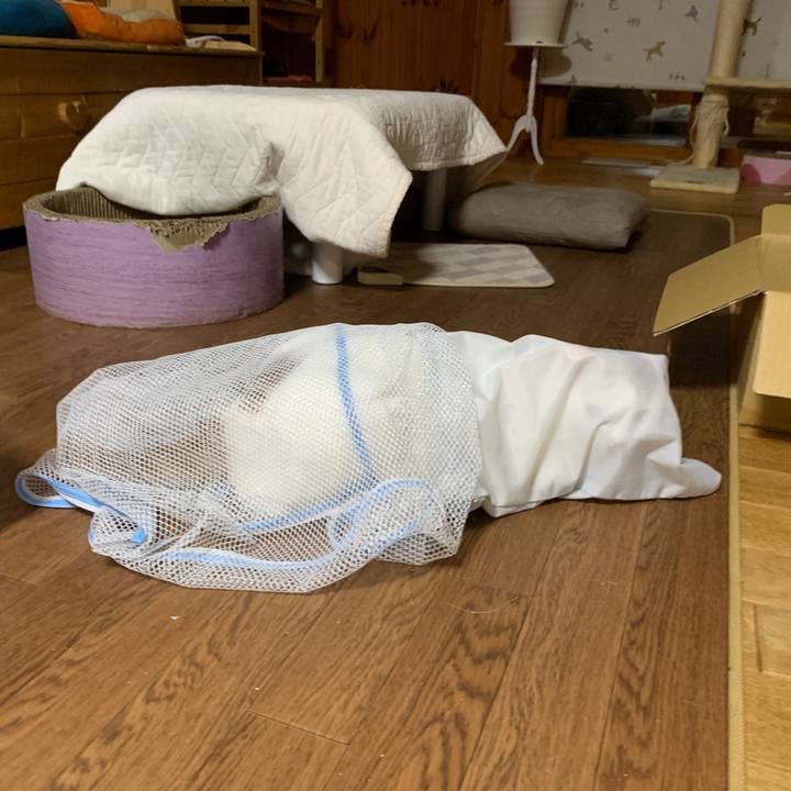 3f32e199 4f54 4d0e 9b0d 5bed3750eeb8 1652966677183