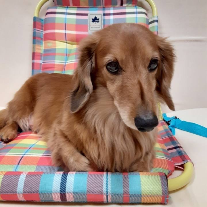 3f32e517 cf20 4999 9e7c ca95fa97d002 1611580308640