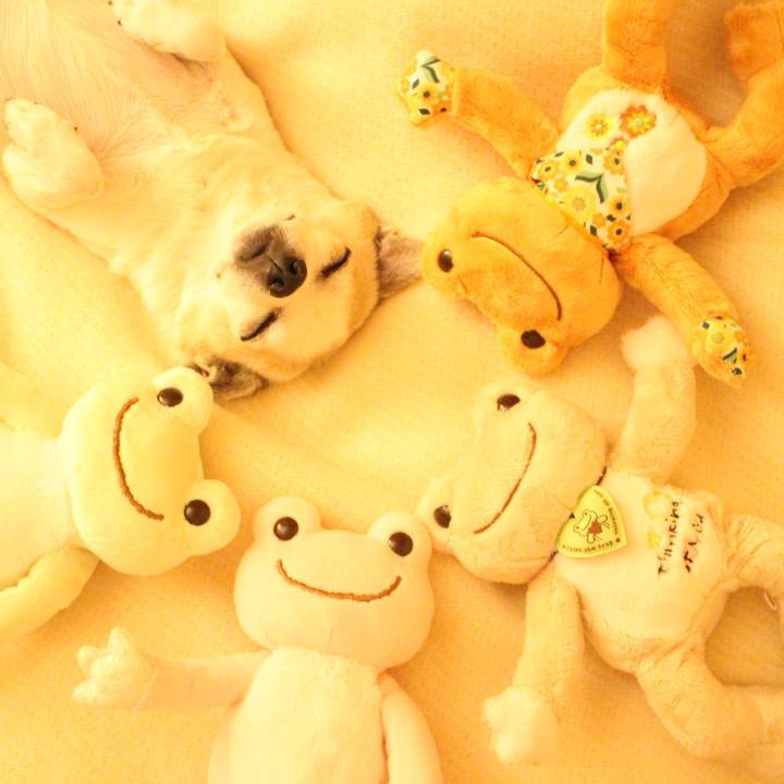 3f32f3e6 f02e 484b b035 03fd2e780509 1517837292007