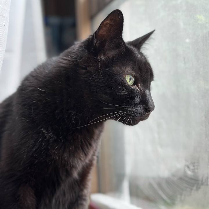 3f3325f5 37b2 4452 92b4 4954cd430ea3 1687480746367