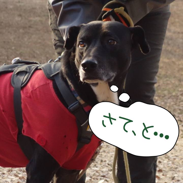 3f333a60 8065 4449 8f8d 6684d9debb5a 1643333263671