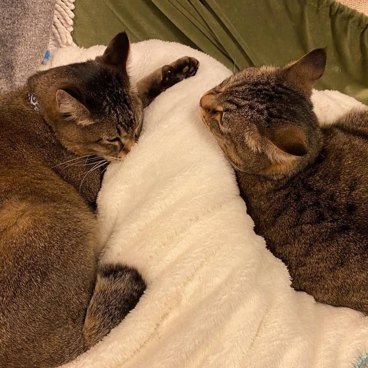 3f33544b 39ef 4cd4 bfbb 02a8cf427339 1586865950216