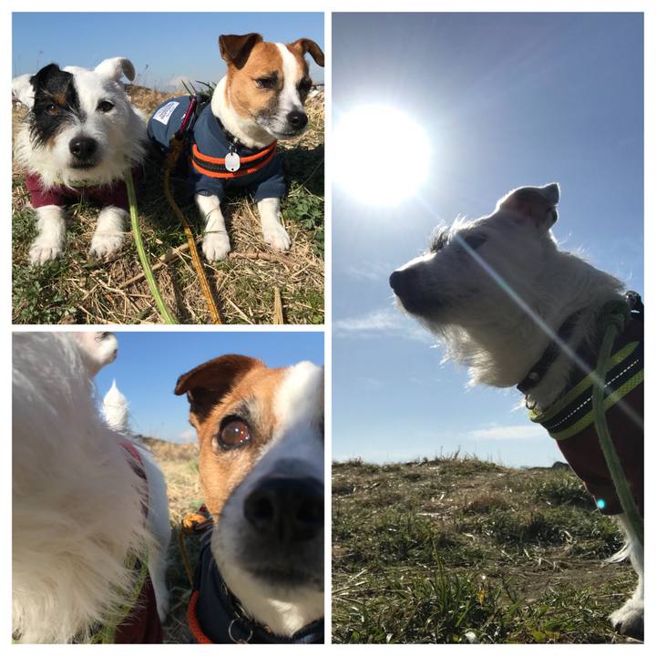 3f336c35 755e 4014 9a10 2c34a64ddc92 1519952631090