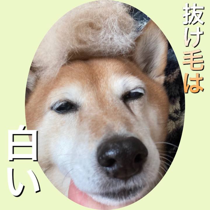 3f33eb08 28bf 4dc5 b182 519dfae3563e 1638586699752