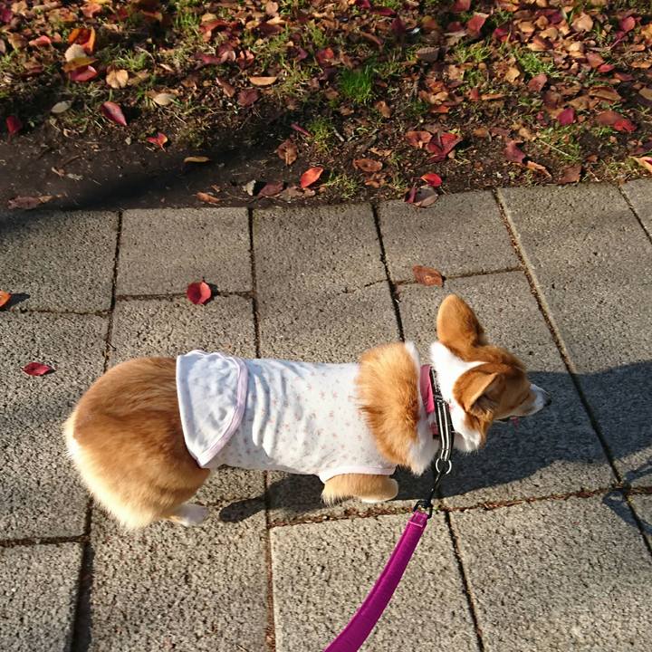 3f33f2bf 0af3 4ca0 8d02 34f846ffecfd 1511930000129