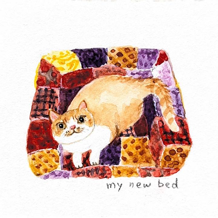 3f340935 c1c0 4793 adb3 e4a77845816f 1772862849153