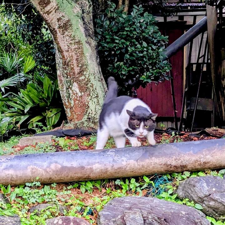 3f340a7c 8e40 420f b56e b391a0f020be 1757670329314