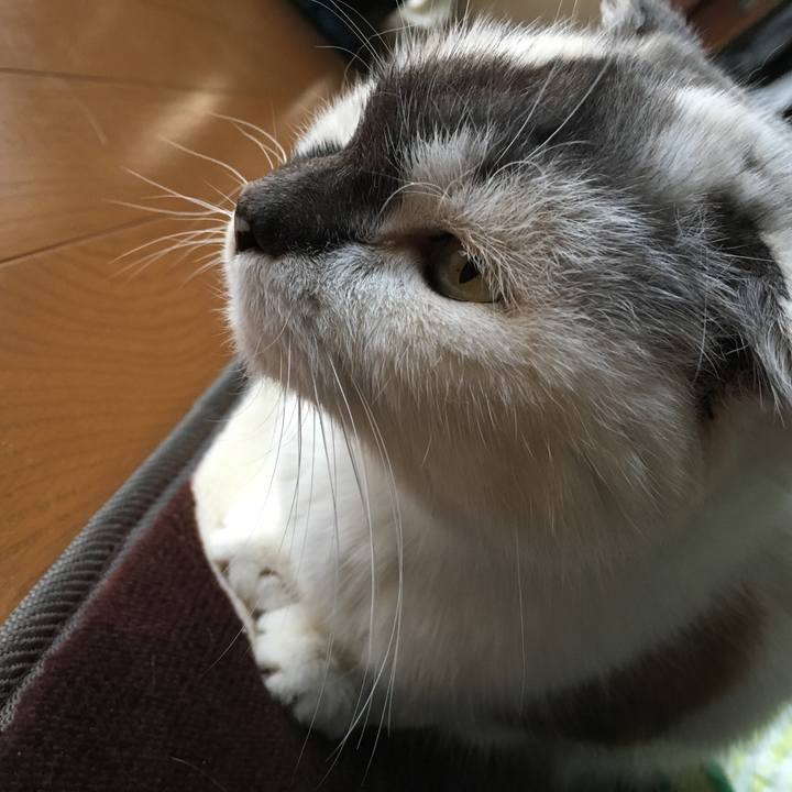 3f342fee edc4 40dd 8fa4 051099ff39dc 1520323922393