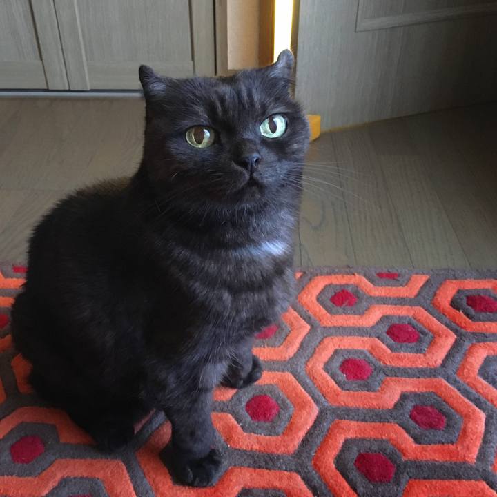 3f343fd0 073f 4336 83d2 02d02587623d 1573084767592