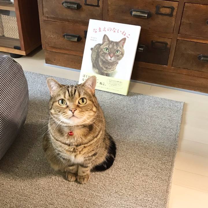 3f3459a7 f9d3 431e 9b04 42d6b098ef05 1558445787574