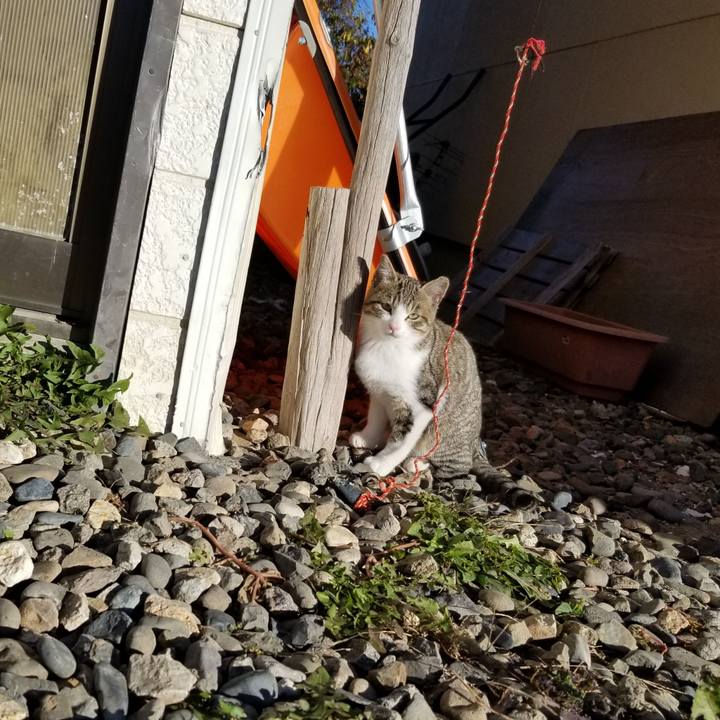 3f346d58 e6cf 40c3 b469 f15f0c499c32 1603367382587