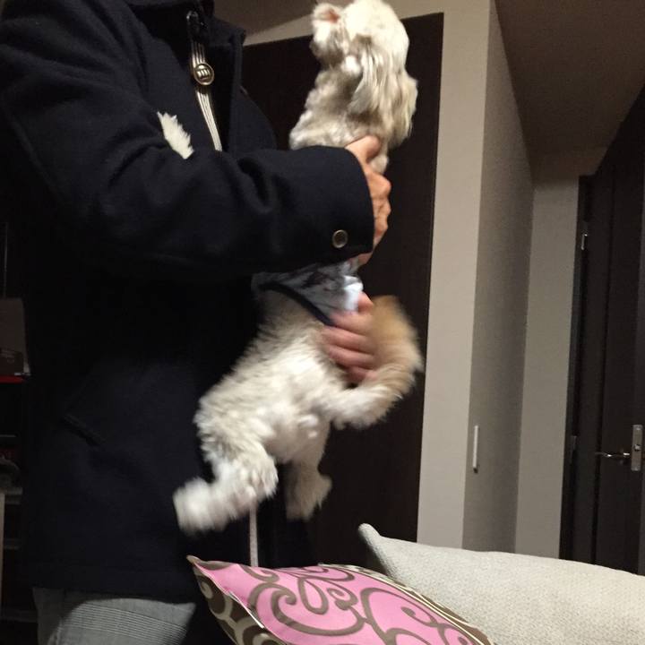 3f348a39 ff0e 4be8 b38a 3f0cefa6c307 1516285835537