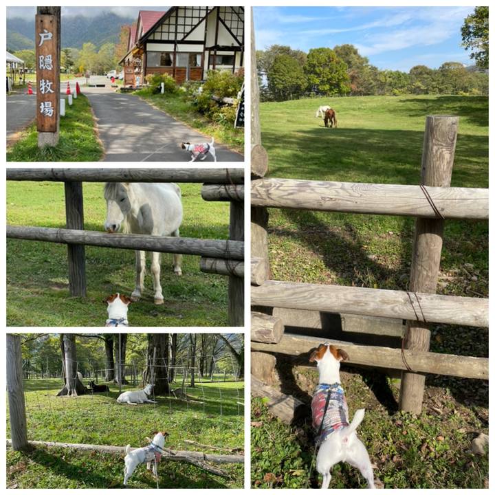 3f34992d 3c90 4105 b40e 00af77176cff 1633671690167