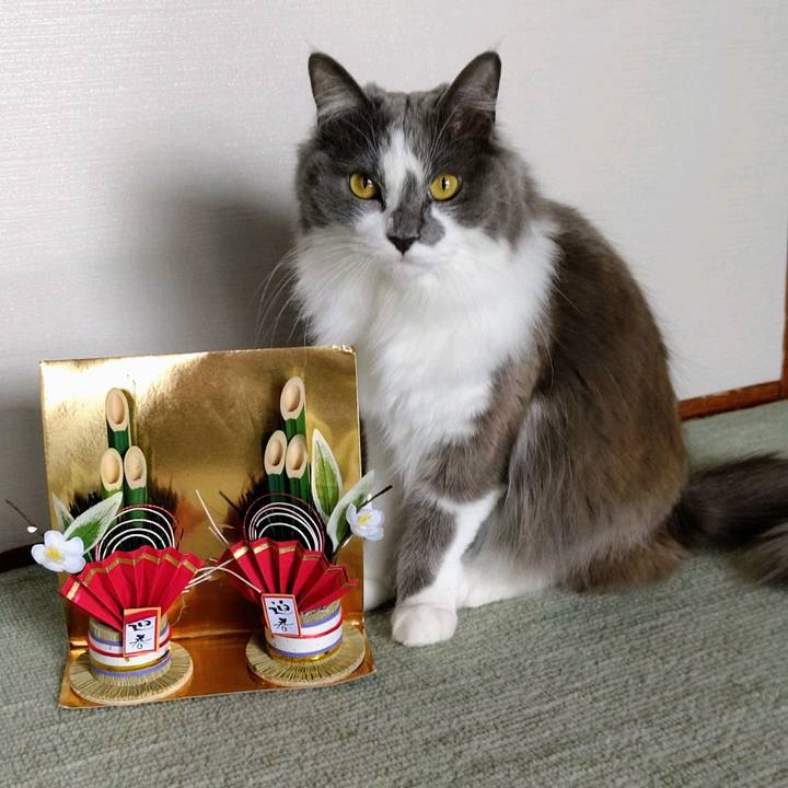 3f349bfa 2f89 436e 9568 94a0869b7ccb 1609391265212